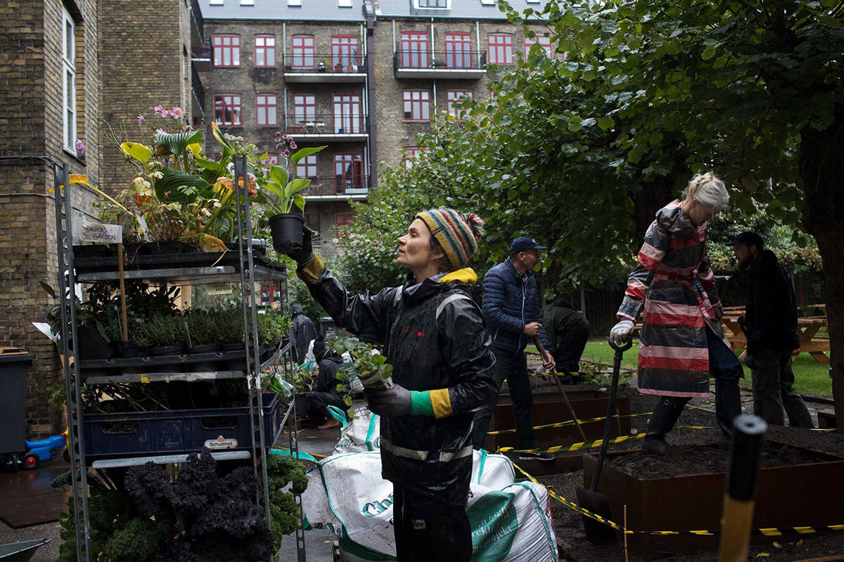 TagTomat-Baldersgaarden-baggaard-workshop